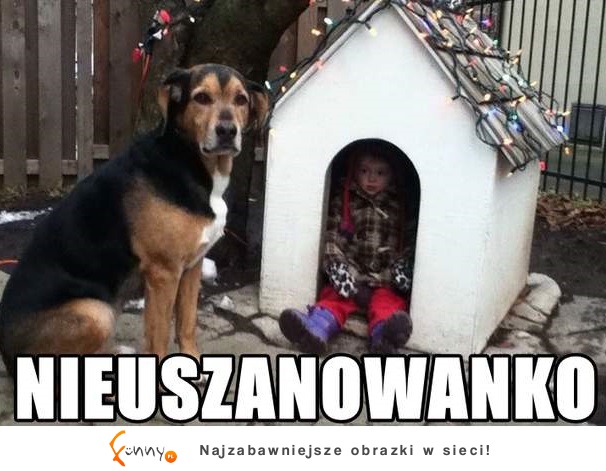 Nieuszanowanko