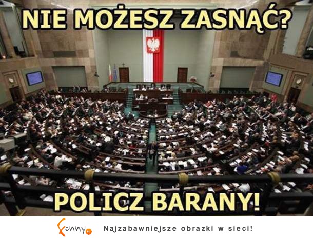 Policz barany