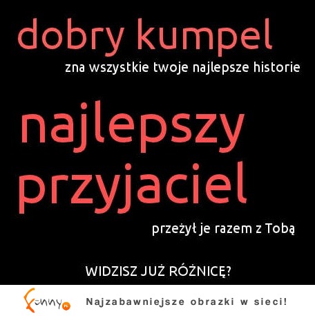 Różnica między dobrym kumplem a najlepszym przyjacielem