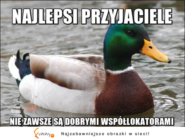 To nie jest dobre połączenie