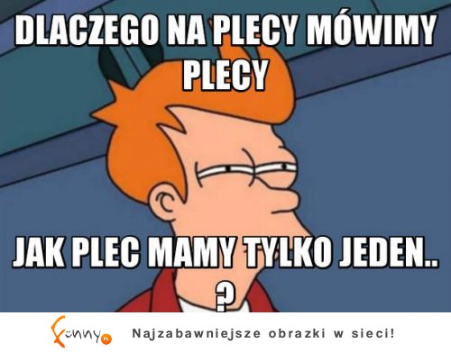 Plecy