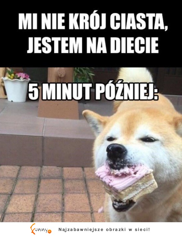 jestem na diecie