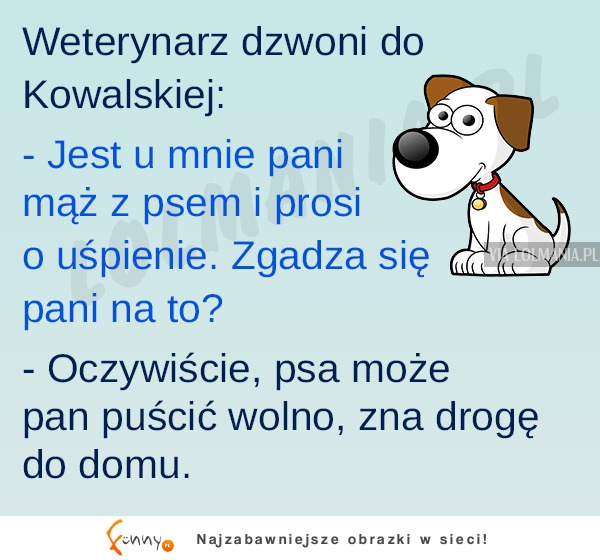 Weterynarz dzwoni do kobiety, a ona... LOL! DOBRE!