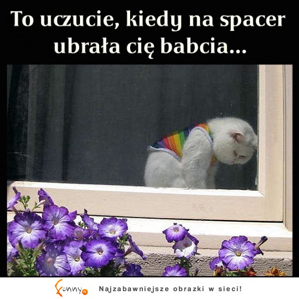 Trauma z dzieciństwa