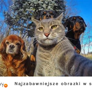 gangsta selfie