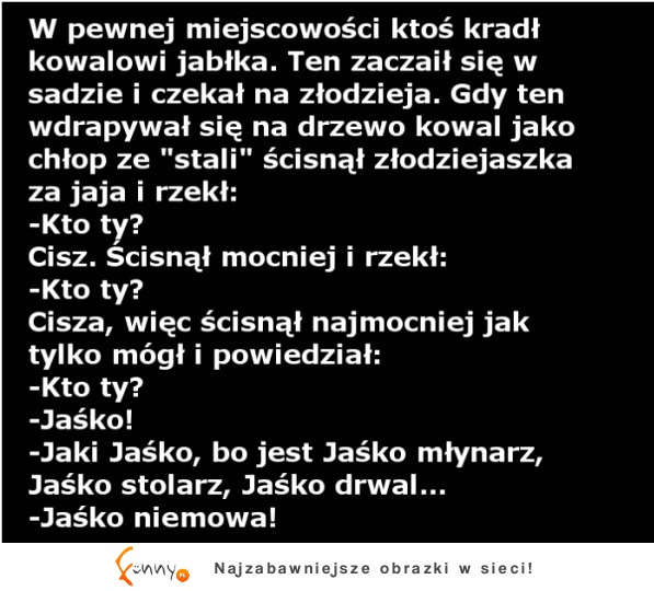 Kowal zrobił zasadzkę na złodzieja jabłek! DOBRE XD