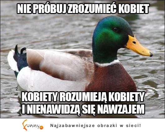 Nie próbuj zrozumieć kobiet, bo ...