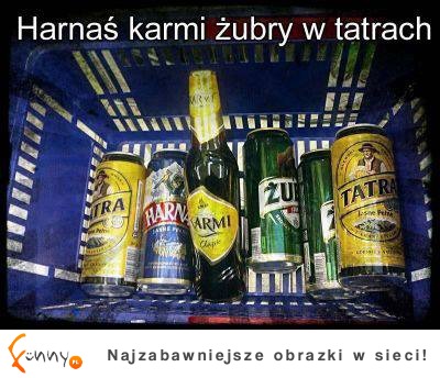 Harnaś, żubr i tatra ;D