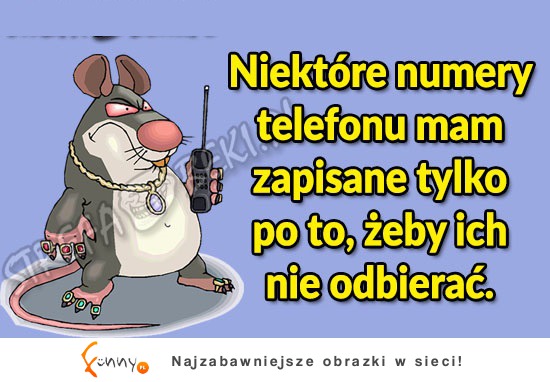 Niektóre numery