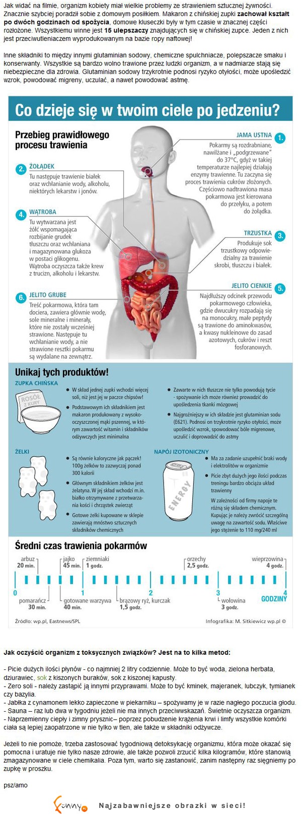 Co dzięje się w twoim ciele po jedzeniu? DOBRE! :D