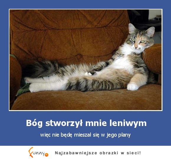 Bóg stworzył mnie leniwym, więc nie będę ;)