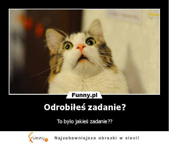 Odrobiłeś zadanie