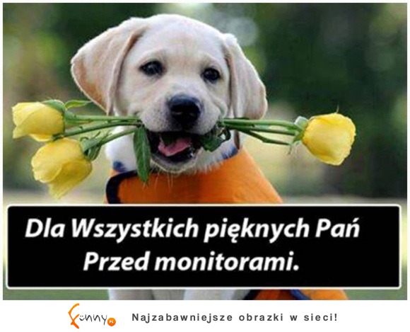 Dla wszystkich Pań!