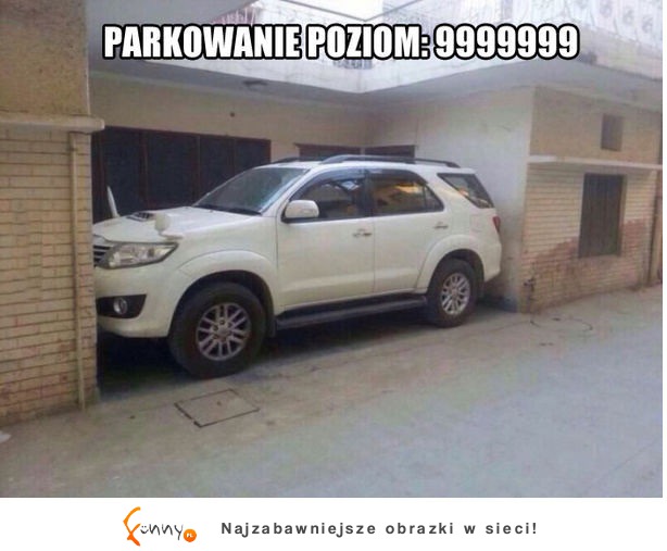 Mistrz parkowania