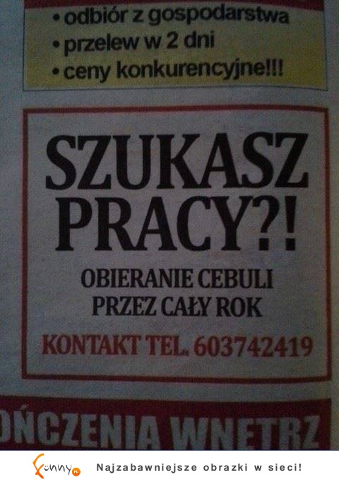 szukasz pracy ziomuś?