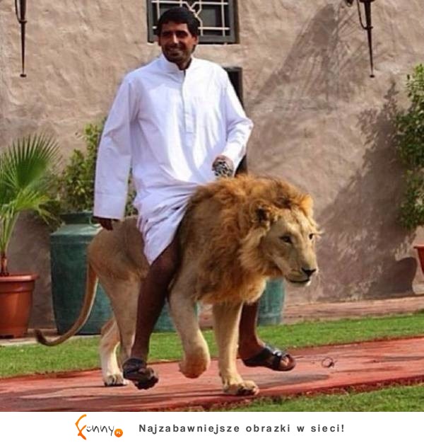 Niesamowite bogactwo Dubaju niedostępne dla zwykłych śmiertelników!