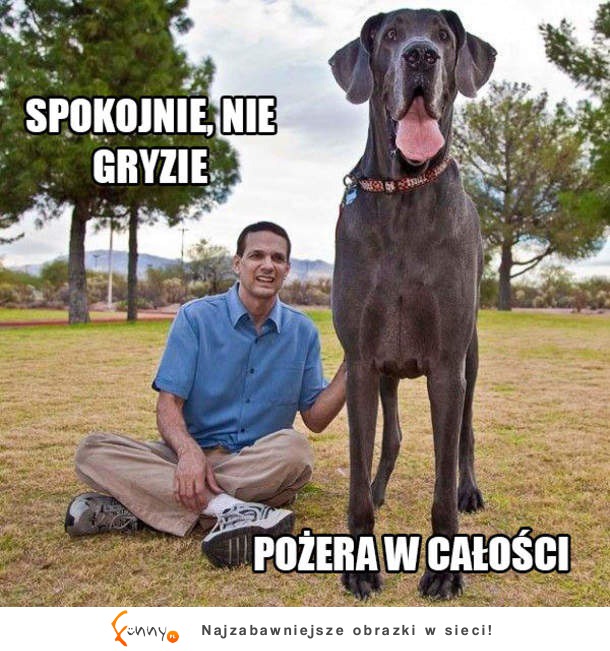 Pożera w całości