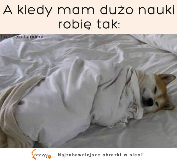Studencka logika Studencka logika