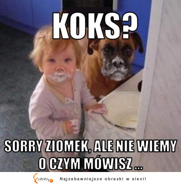 KOKS