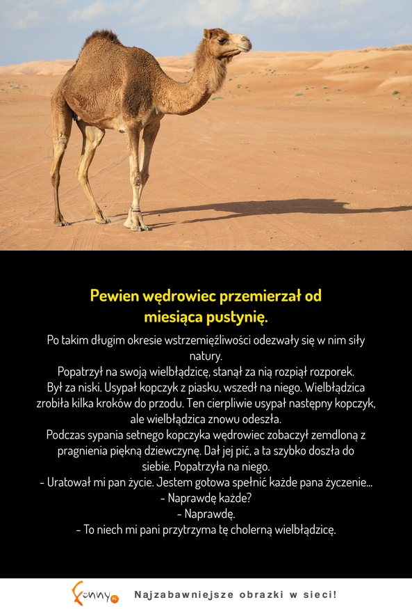 Wędrowiec szedł zbyt długo przez pustynie i najbardziej doskwierał mu brak kobiety... Jednak chyba nie odczytał dobrze zrządzenia losu XD Wędrowiec szedł zbyt długo przez pustynie i najbardziej doskwierał mu brak kobiety... Jednak chyba nie odczytał dobrze zrządzenia losu XD