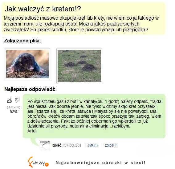 Jak najlepiej pozbyc się kreta z ogródka? ;D Ludzie to mają pomysły!