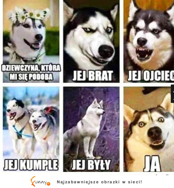 TAk to wygląda ;D