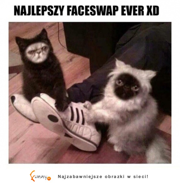 faceswap