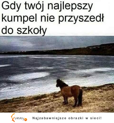 Nie przyszedł