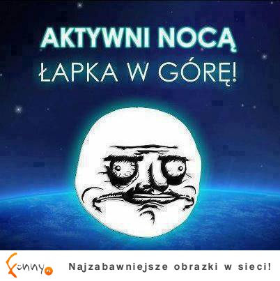 AKTYWNI NOCĄ!