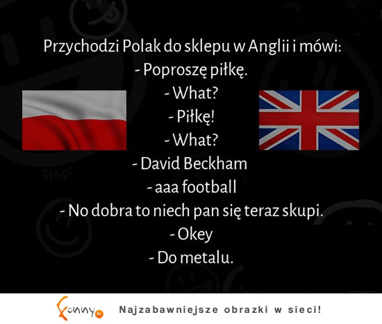 Polak rozmawia z Anglikeim... Ale mu wytłumaczył HAHA!