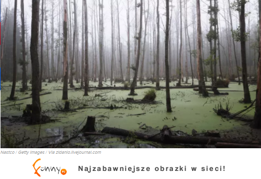 9 najstraszniejszych historii z całego świata