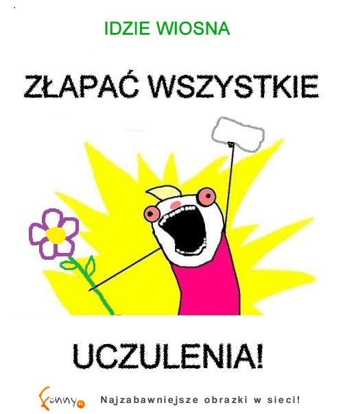 Idzie wiosna, idzie alergia...