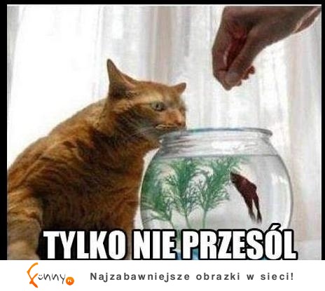 Tylko nie przesól