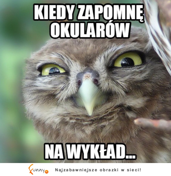 Zapomnę okularów