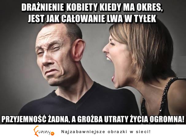 Całowanie lwa