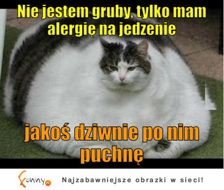 Nie jestem gruby, tylko mam alergię na jedzenie