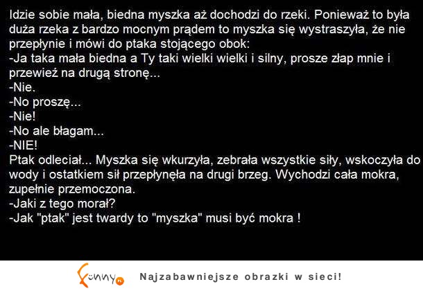 Myszka