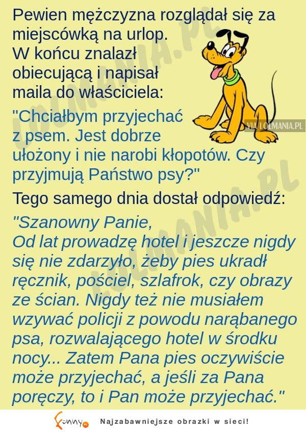 Dlacze zwierzęta powinny być mile widziane na wakacjach! MEGA!