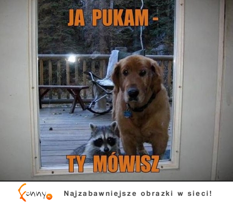 Pamiętaj!  Ja pukam, ty mówisz... :D