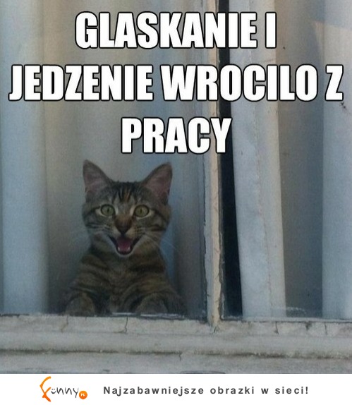 Głaskanie i jedzenie wróciło!