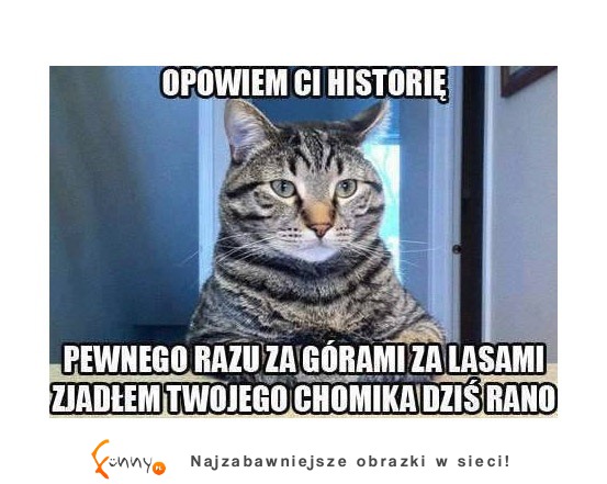 Opowiem ci historię