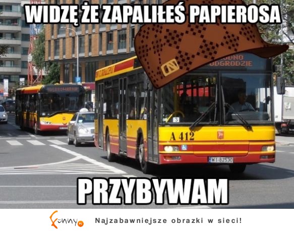 Przybywam