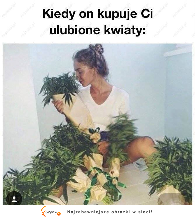 ulubione kwiaty