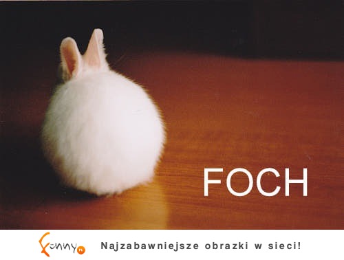 Foch :D