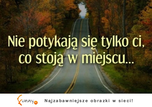 stoją w miejscu