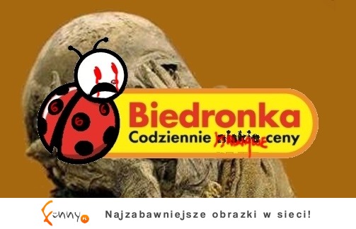 Biedronka