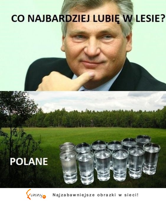 lubię lasy