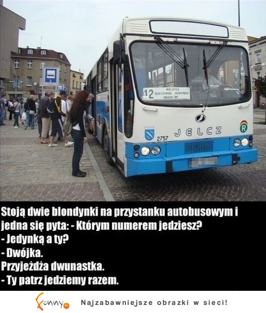 Blondynki i autobus