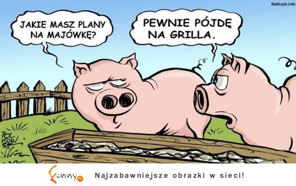 Plany na majówkę