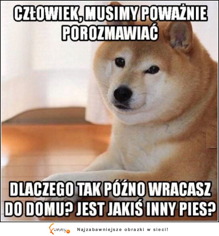 POWIEDZ SZCZERZE